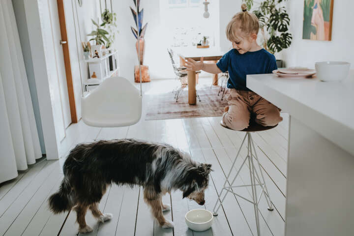 HUNTER Keramik-Napf Lund